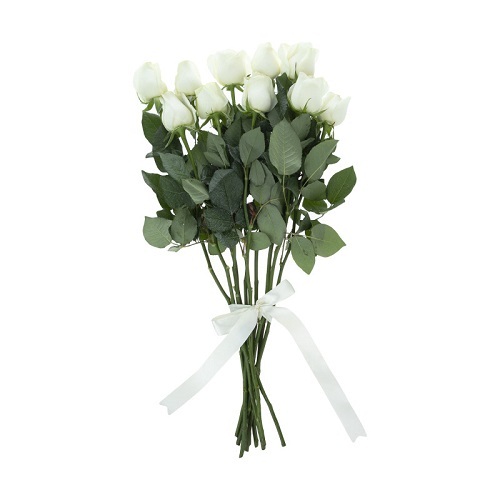 شاخه گل رز هلندی سفید دسته 10 عددی مدل m1053